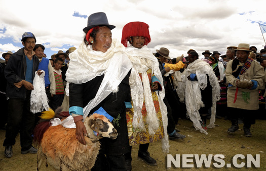 Foire aux moutons au Tibet