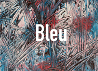 260702BLEU2a.jpg