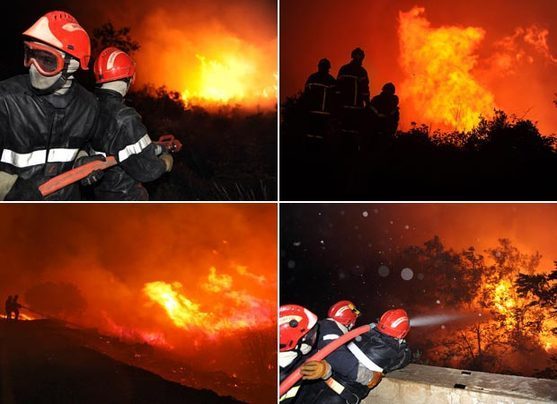 Plusieurs milliers d'hectares de végétation ont été ravagés par une série d'incendies dans la nuit de lundi à mardi dans le sud de la France, notamment dans le département de l'Hérault.