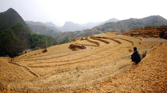 Le 16 mars, Zhang Yining, un paysan du Guangxi, attend la pluie sur ses terres.