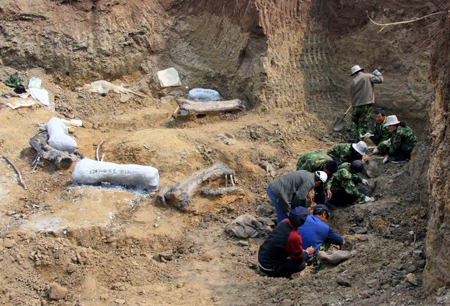 Un gisement de dinosaures a été  découvert cette année dans l'est de la Chine, il sembre être le  plus grand du monde, a indiqué lundi un paléontologue.  