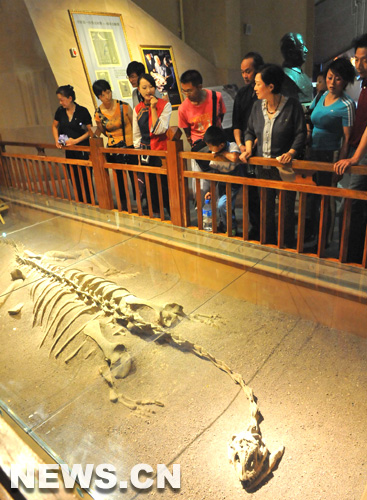 Depuis le début des vacances d&apos;été, la vallée des dinosaures, qui se situe dans le district de Lufeng, dans la province du Yunnan (sud-ouest de la Chine), a accueilli une affluence de touristes, surtout des élèves et des étudiants.