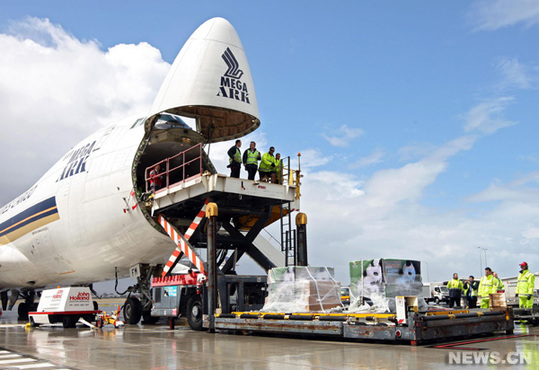 Le personnel décharge deux pandas géants venant de Chine à l&apos;aéroport d&apos;Adelaide, en Australie, le 28 novembre 2009.