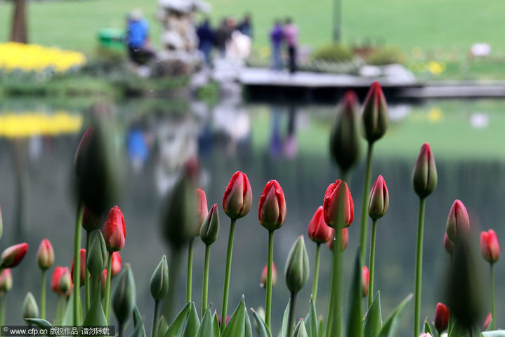 Le parc de la baie du Prince, province du Zhejiang (est de la Chine)