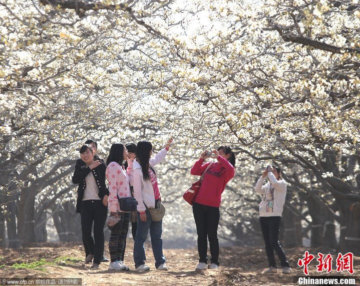 Le district de Zhao, province du Hebei (nord de la Chine)