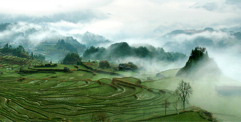 3. Les rizières en terrasses de Yunhe